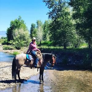 Meet your Posher, Abi